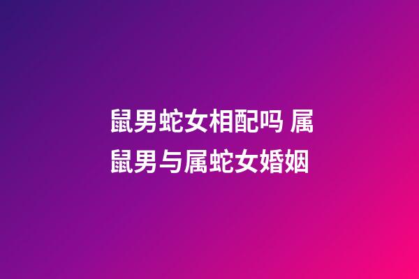 鼠男蛇女相配吗 属鼠男与属蛇女婚姻-第1张-观点-玄机派